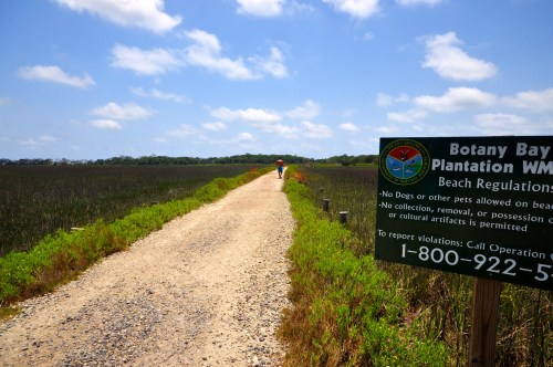 Botany Bay Walking Path